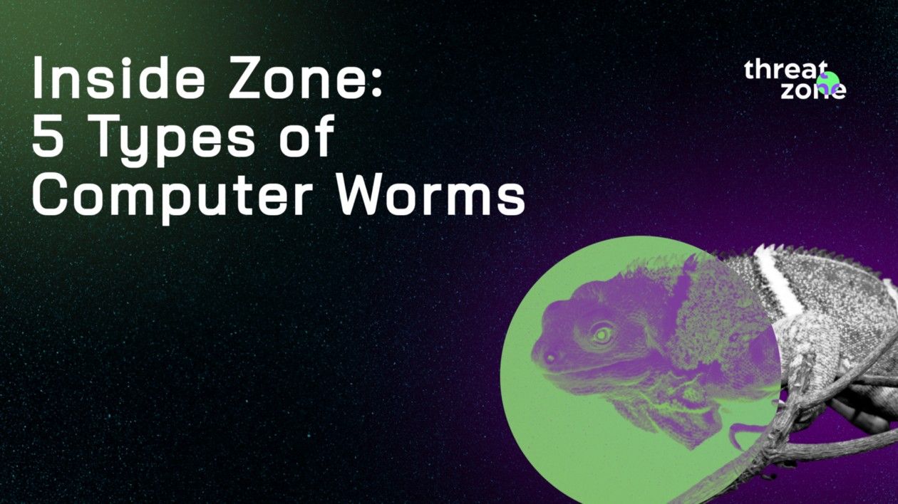 Inside Zone: 5 Types of Computer Worms